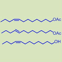 8顺-碳烯醇乙酸酯& 8反-十二碳烯醇乙酸酯& 8顺-十二碳烯-1-醇